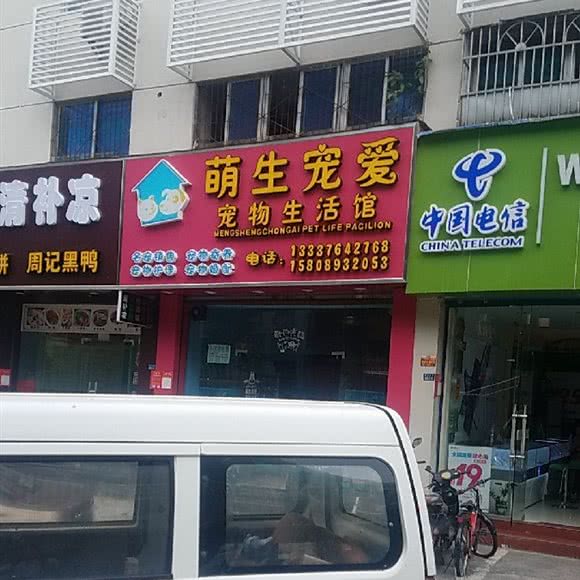 萌生宠物宠物生活馆:海口市龙华区海秀中路附近