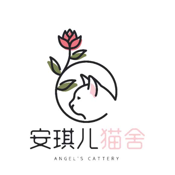 安琪儿猫舍:海口市龙华区玉沙路附近