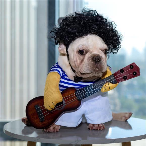 美熙熙萌宠换装用品馆:石家庄市长安区中山东路附近