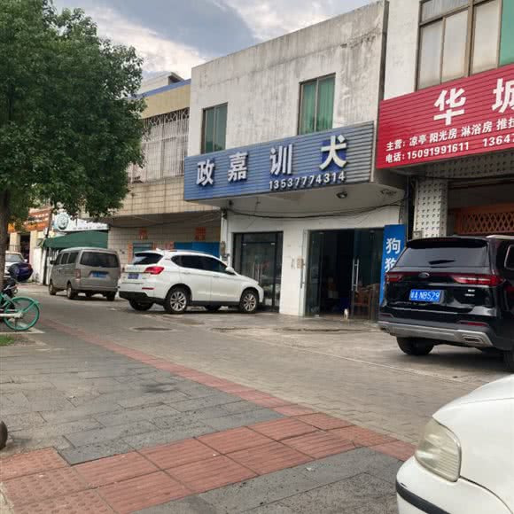 政嘉训犬:海口市琼山区滨江路附近