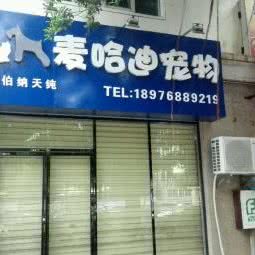 伯纳天纯麦哈迪宠物:海口市琼山区高铁东站/龙昆南附近