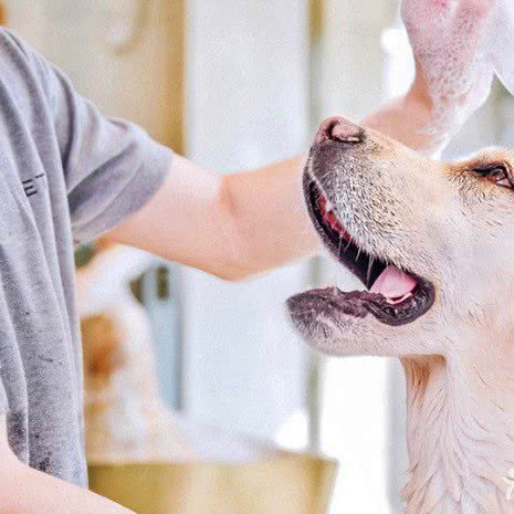 PETKIT 小佩宠物(国瑞城店):海口市美兰区名门广场附近