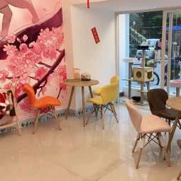 Cat&Dog 宠物生活馆:海口市美兰区海甸岛附近