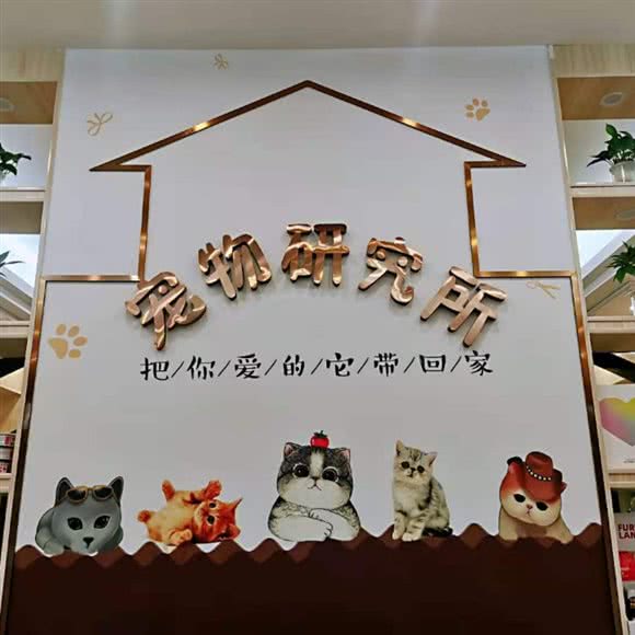 宠物研究所:海口市美兰区海甸岛附近
