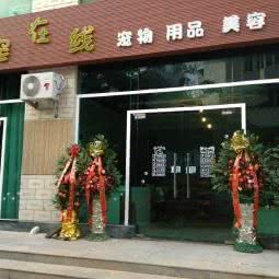 萌宠在线:海口市美兰区海甸岛附近