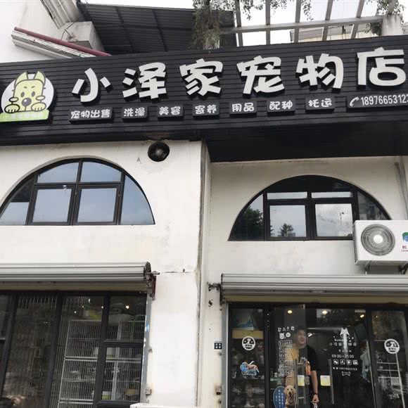 小泽家宠物店:海口市美兰区海甸岛附近