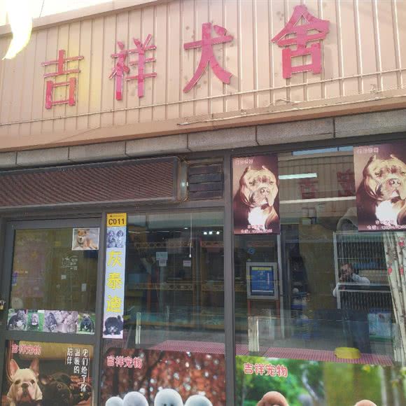 吉祥犬舍:石家庄市长安区中山东路附近