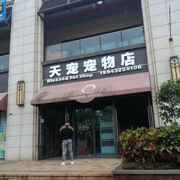 天宠宠物店:海口市美兰区灵山镇附近