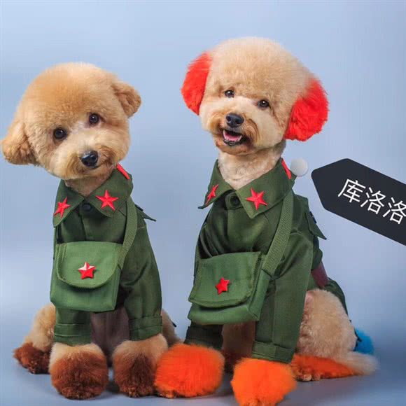 库洛洛宠物生活馆(尚品国际店):三亚市吉阳区金鸡岭附近