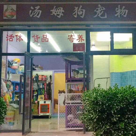 汤姆狗宠物店(汤姆狗太阳宫国际村店):北京城区朝阳区左家庄附近