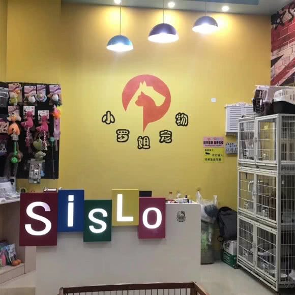 小罗姐宠物(东岸假日店):三亚市吉阳区迎宾路北段附近