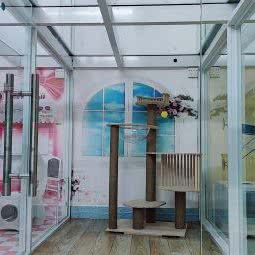 蛋蛋缘宠物店:三亚市吉阳区荔枝沟附近