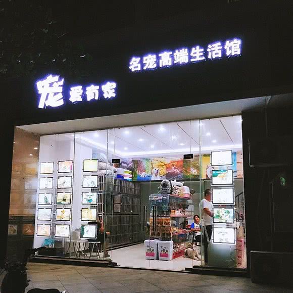 宠爱有家名宠高端生活馆:三亚市吉阳区白鹭公园附近