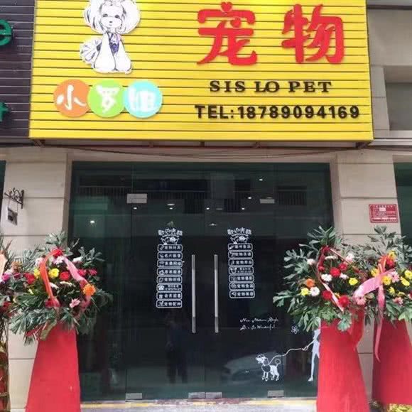 小罗姐宠物(河西路店):三亚市天涯区河西路附近