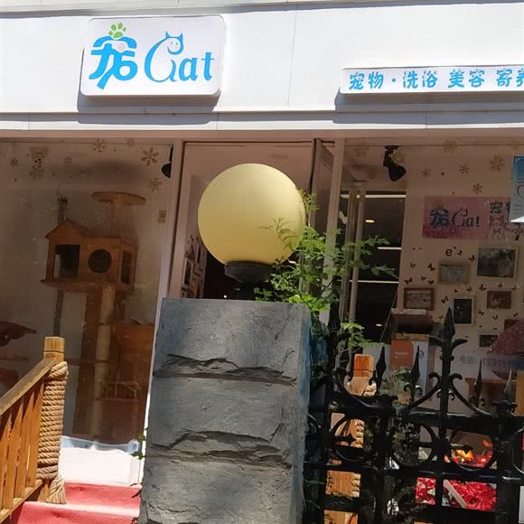 宠Cat:石家庄市长安区中山东路附近