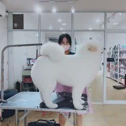 angel:重庆城区万州区高笋塘街道附近