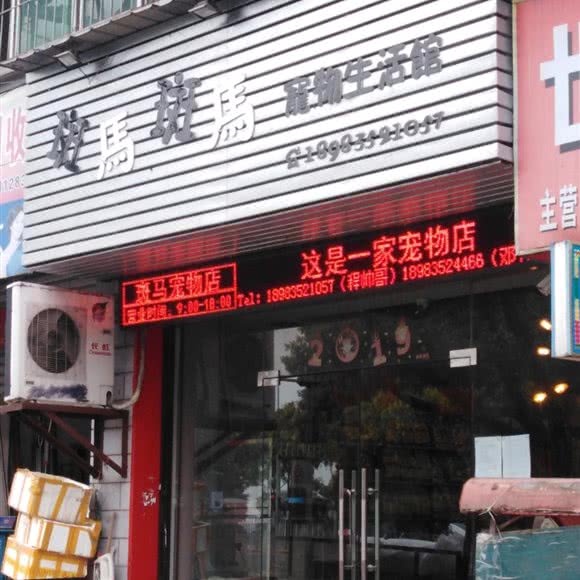 斑马斑马宠物生活馆:重庆城区万州区高笋塘街道附近