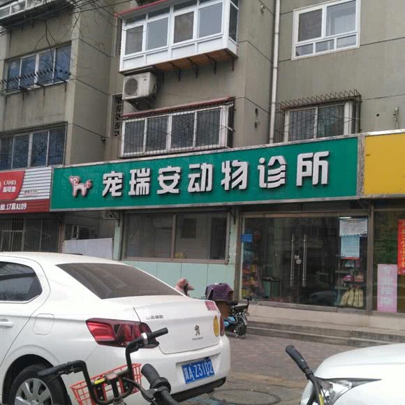 宠瑞安动物诊所(跃进路店):石家庄市长安区中山东路附近