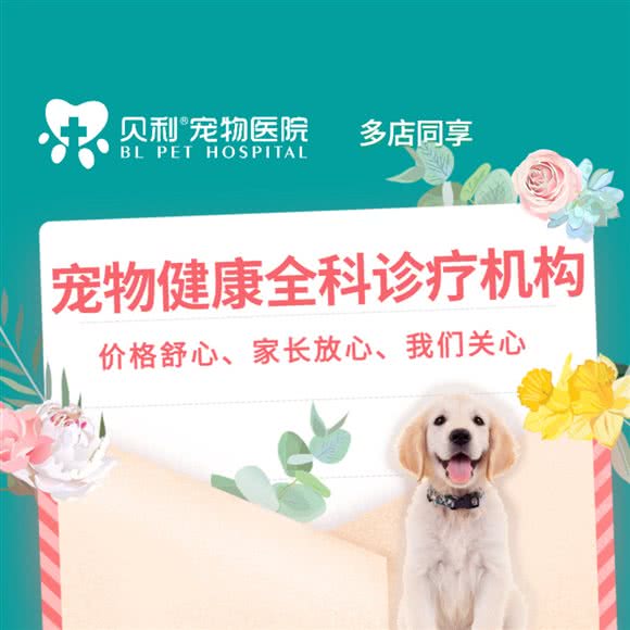 贝利宠物医院(万州转诊中心):重庆城区万州区高笋塘街道附近