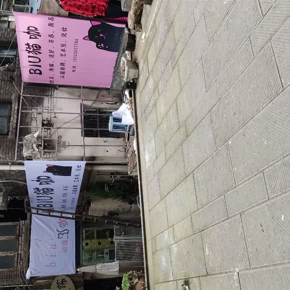 BIU兔咖:重庆城区万州区牌楼街道附近