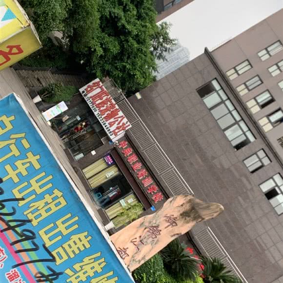 名门旺族宠物公社:重庆城区涪陵区敦仁街道附近