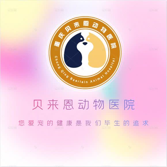 贝来恩24小时动物医院:重庆城区涪陵区荔枝街道附近