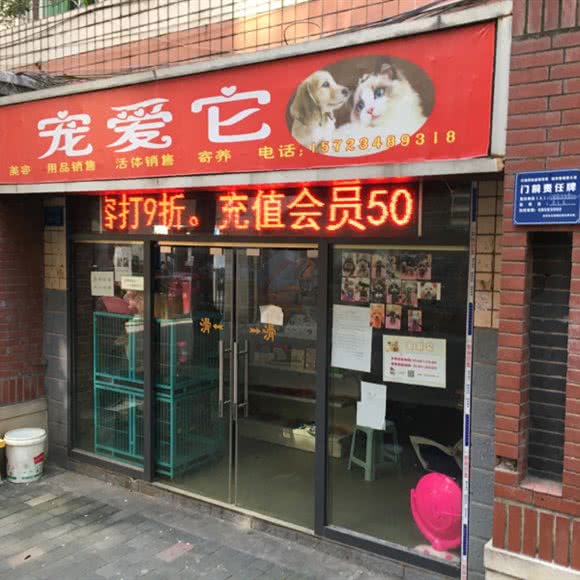 宠爱它:重庆城区渝中区大坪附近