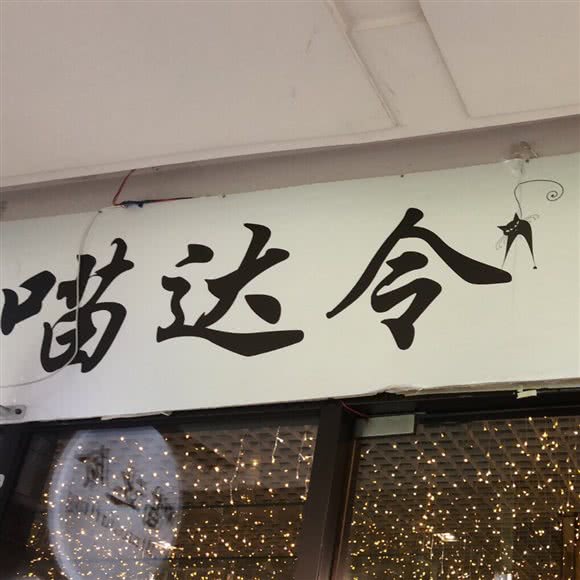 喵达令·宠物猫·购宠·宠物用品·猫咪洗澡(只洗猫):重庆城区渝中区大坪附近