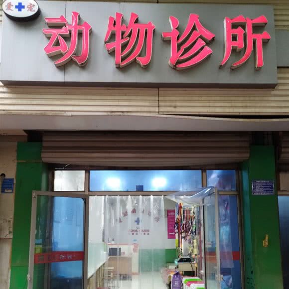 爱宠动物诊所(青园街店):石家庄市长安区中山东路附近