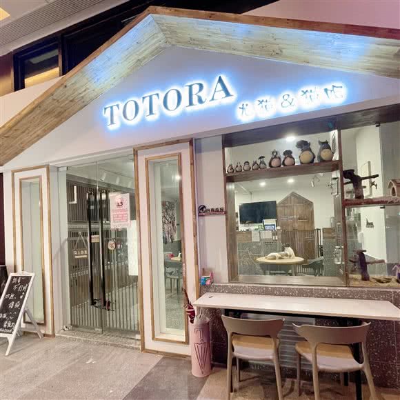 TOTORA龙猫&猫吧:重庆城区渝中区大坪附近