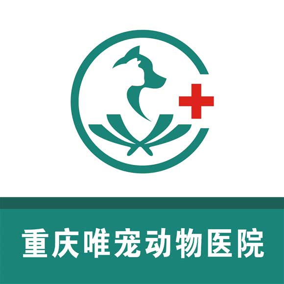 唯宠动物医院(大坪分院):重庆城区渝中区大坪附近