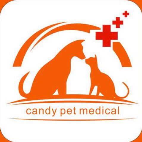 糖果宠物医院:重庆城区渝中区大坪附近