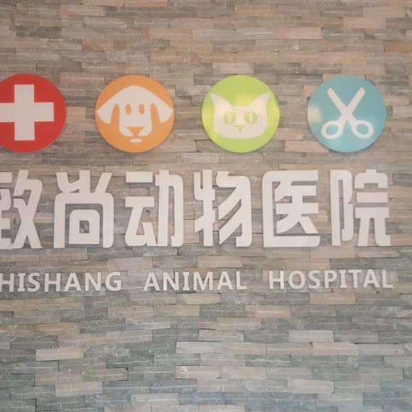 致尚动物医院:重庆城区渝中区大坪附近