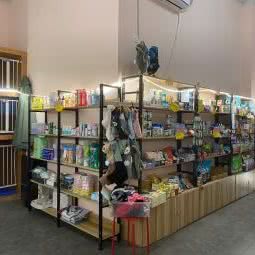 宠翻天:重庆城区渝中区解放碑附近