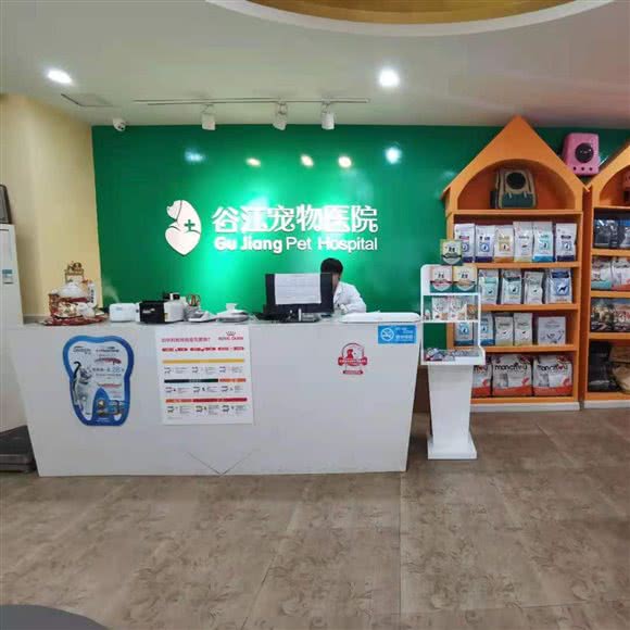 谷江宠物医院:重庆城区渝中区解放碑附近