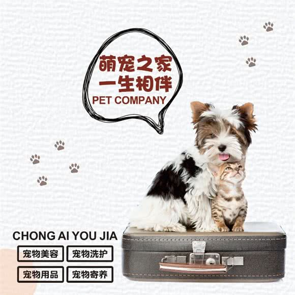 喵小仙宠物:重庆城区渝中区化龙桥/重庆天地附近