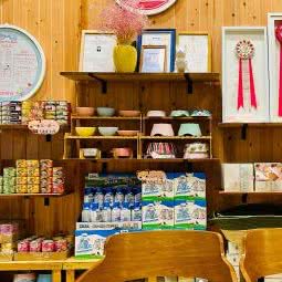 温蒂宠物:重庆城区渝中区化龙桥/重庆天地附近