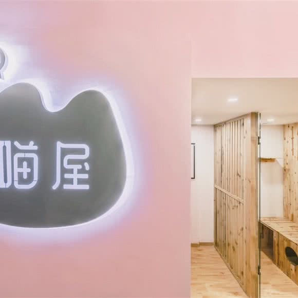 MEOW喵屋·猫咪快捷酒店:重庆城区渝中区化龙桥/重庆天地附近