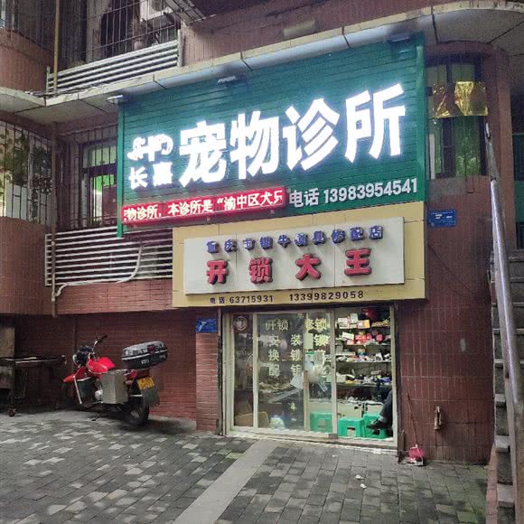 长嘉宠物诊所:重庆城区渝中区临江门附近