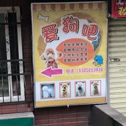 爱狗吧(人民路店):重庆城区渝中区上清寺附近