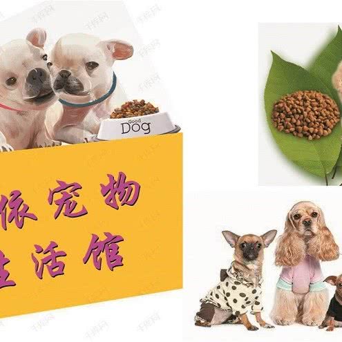 唯依宠物(唯依宠物):北京城区朝阳区左家庄附近