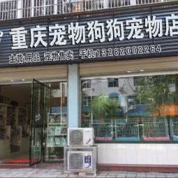 重庆宠物狗狗宠物猫咪店:重庆城区渝中区七星岗附近