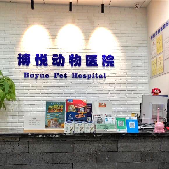 博悦动物医院:重庆城区渝中区总部城附近
