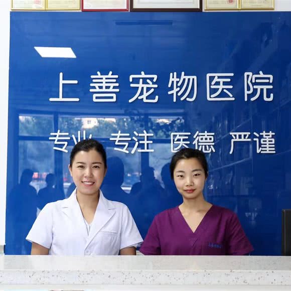 上善宠物医院:石家庄市长安区勒泰中心附近