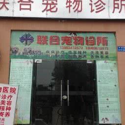 联合宠物诊所:重庆城区大渡口区大渡口公园附近