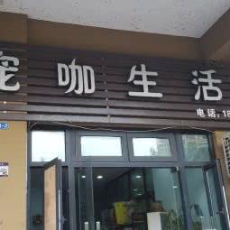 宠咖生活馆:重庆城区大渡口区八桥镇附近