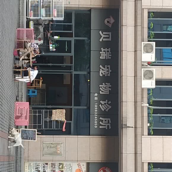 贝瑞宠物诊所:重庆城区大渡口区八桥镇附近