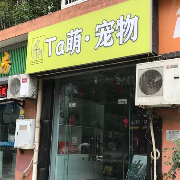 Ta萌·宠物:重庆城区大渡口区九宫庙附近