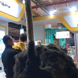 第七届雄鹰京宠展:北京城区朝阳区左家庄附近