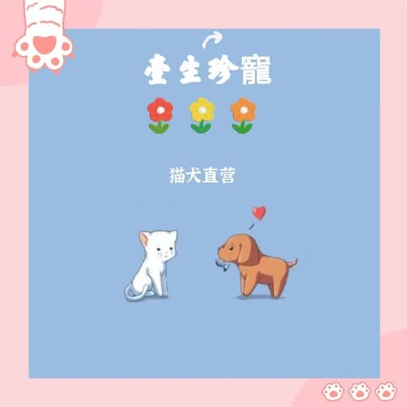 一生珍宠.猫犬活体直营.连锁分店:重庆城区江北区观音桥附近